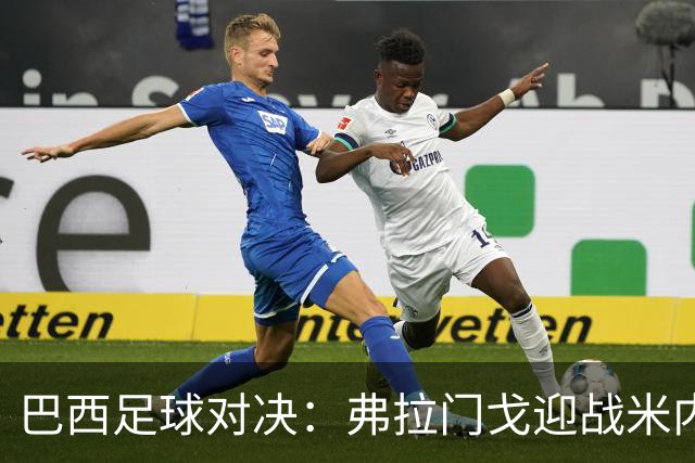 巴西足球对决：弗拉门戈迎战米内罗竞技
